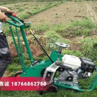 四季青草坪移植机 马尼拉草皮汽油起草皮机 本田百慕大草起草机