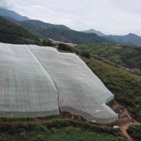 结实耐用果树防虫网质量好加厚加宽脐橙网厂家直销价格优惠