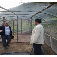 人工养殖胡蜂用的加厚网厂家定做成品养殖网棚质量好耐用