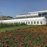 篷房租赁、定制生产、销售