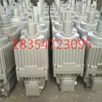 ED50/6,ED80/6电力液压推动器