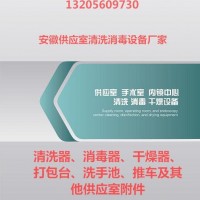 整形美容医院清洗消毒设备  厂家