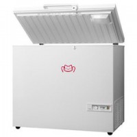 丹麦FRIGOR GLE10/GLE20超低温陈列冷冻柜