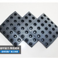 浅谈建设海绵城市专用排水板