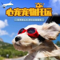 广州西安太原猫狗宠物托运服务于全国