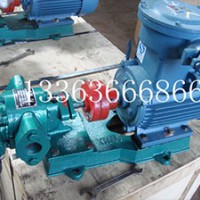 山西齿轮油泵加工厂家/亚兴工业泵阀公司接受订制