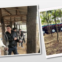 武汉公司团体出游有什推荐钓鱼射箭项目多你一定没见过大家都在说