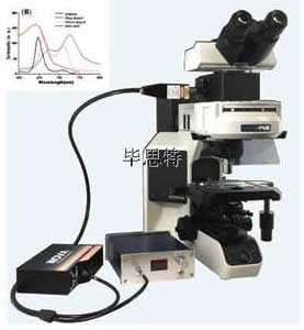 显微镜分光光度计系统BEST-UV600型