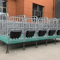 福建福州复合板定位栏「志航机械」母猪产床行业制造