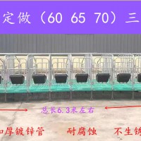 新型母猪定位栏   猪位加宽限位栏   养猪设备