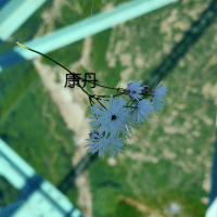 甘肅蘭州擺帳亮資5千萬需要多少費用