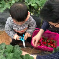 隐藏在深圳龙岗的农家乐可以接团体活动的农家乐