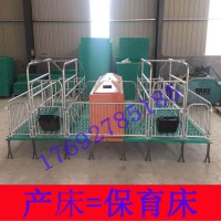 母猪双体产床  复合母猪产床  养猪设备