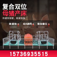 猪用产床母猪双体产床 复合板产床猪分娩母猪产床