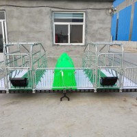 母猪双体产床   猪用产床  厂家直销