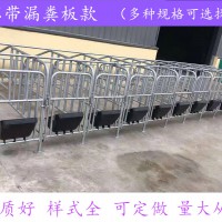 母猪定位栏  母猪位加宽限位栏  厂家直销