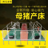 母猪产床猪用分娩床产保两用双体母猪产床养猪设备