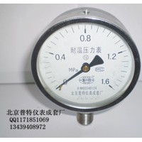 YTH100耐高温压力表