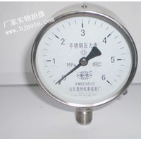 YTF100不锈钢压力表