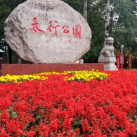 看完长治太行公园的亮化，让你有去现场的冲动
