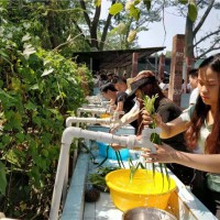 深圳宝安周边团建拓展农家乐基地，价格以及有什么好玩的