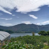 深圳农家乐公司团建去哪里好 深圳可以采摘野炊的农家乐