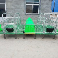 全复合产保一体床双体产床定位栏保育床漏粪板电热板双面食槽
