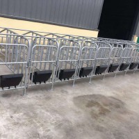 全复合母猪分娩产床产保一体床定位栏保育床漏粪板