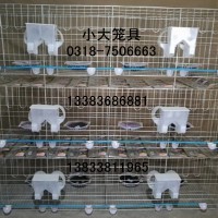 售鸽笼 兔笼 鸡笼 鸟笼 狗笼 貉笼 鹌鹑笼 鹧鸪笼 运输笼