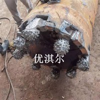 河北牙掌片