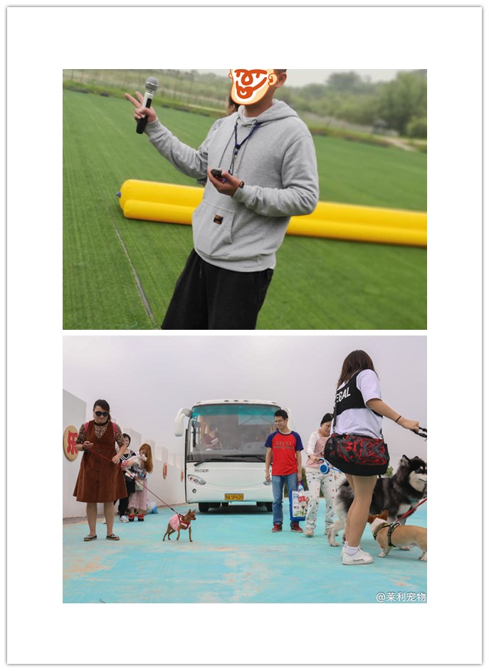 武汉户外拓展