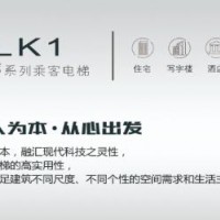 提供江西康力电梯系列产品