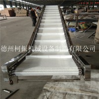 供应塑料链板输送机 不锈钢耐腐蚀输送设备