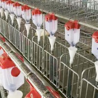 浙江养殖料塔-养殖料线-牧泽