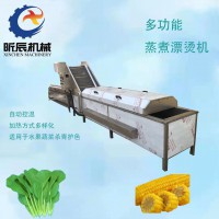 昕辰连续式果蔬漂烫机白芸豆漂烫杀青机玉米漂烫设备