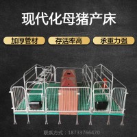 全复合漏粪板母猪产床 仔猪保育母猪分娩床养猪场设备
