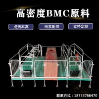 全复合双体母猪产床 养猪分娩床保育床 复合漏粪板