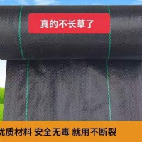 防草布厂家抗老化无纺布  除草地膜布  透水透气除草布