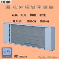 上海道赫SRJF-10高温辐射电加热器2100W