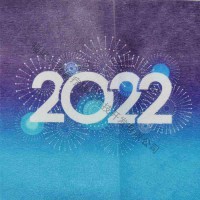 2022新款水刺无纺布  烟花印花图案