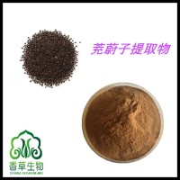 茺蔚子提取物   浸膏粉   茺蔚子速溶粉   茺蔚子浓缩液