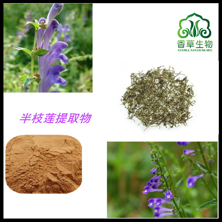 半枝莲提取物   浸膏粉   半枝莲速溶粉   提取液