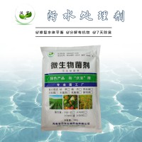 污水处理菌种微生物活菌分解除臭净化养殖场酿酒厂造纸淀粉厂污水