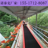 景区爬坡云梯运速可调节 雪梯输送带低温正常运转