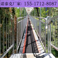 生态旅游用载客飞天魔毯安装 雪毯输送带应用于不同场合