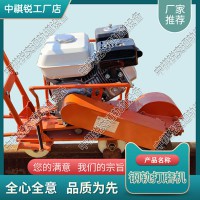 青海CS-1除锈打磨机交通轨道设备