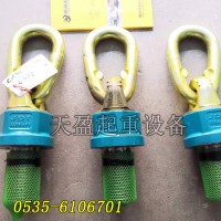 泰州德国JDT旋转吊点批发,模具厂用进口旋转吊点现货