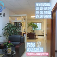 河源源城区卫生间花卉租摆、花木租摆报价 河源蔚蓝环境绿化