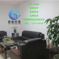 河源江东新区社区养护多少钱 河源蔚蓝环境绿化