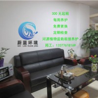 河源市区公园种植收费标准 河源蔚蓝环境绿化